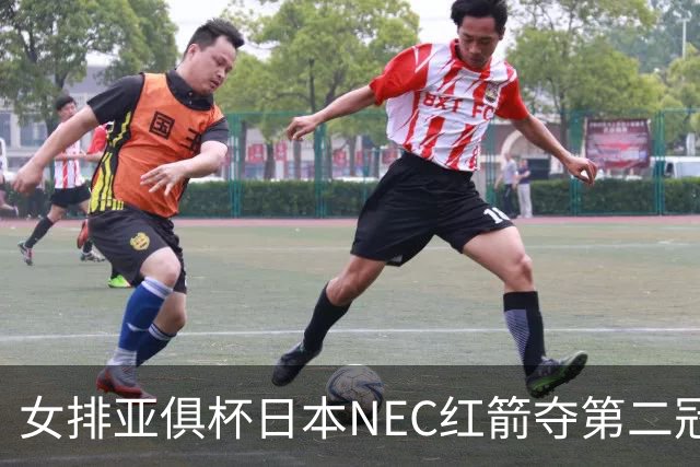 女排亚俱杯日本NEC红箭夺第二冠 佐藤淑乃荣膺MVP